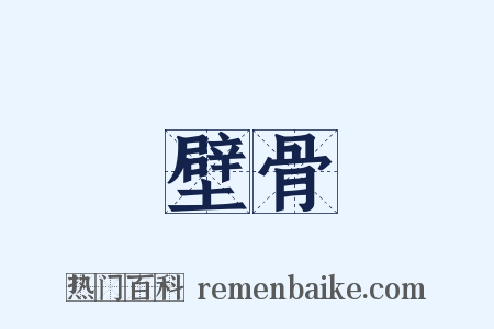 壁骨是什么意思的图片